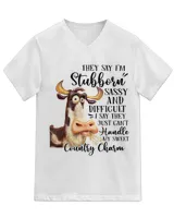 Unisex Jersey SS V-Neck T-Shirt