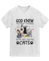 Unisex Jersey SS V-Neck T-Shirt