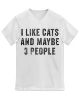 Unisex Jersey SS V-Neck T-Shirt
