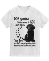 Unisex Jersey SS V-Neck T-Shirt