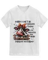 Unisex Jersey SS V-Neck T-Shirt