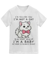 Unisex Jersey SS V-Neck T-Shirt