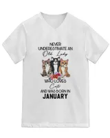 Unisex Jersey SS V-Neck T-Shirt