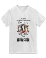 Unisex Jersey SS V-Neck T-Shirt