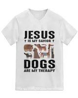 Unisex Jersey SS V-Neck T-Shirt