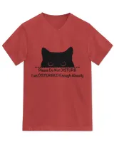 Unisex Jersey SS V-Neck T-Shirt
