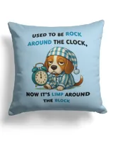 Canvas Pillow (Dual Sided)