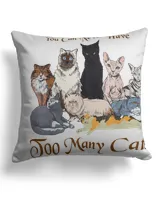 Canvas Pillow (Dual Sided)