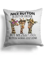 Canvas Pillow (Dual Sided)