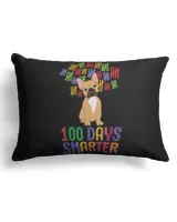 Canvas Pillow (Dual Sided) 13x19"
