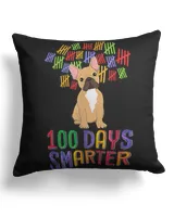 Linen Pillow (Dual Sided)