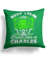 Cotton Drill Pillow (Dual Sided)