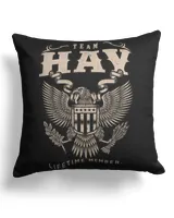 Cotton Drill Pillow (Dual Sided)