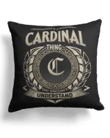 Cotton Drill Pillow (Dual Sided)