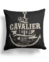 Cotton Drill Pillow (Dual Sided)