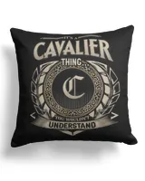 Cotton Drill Pillow (Dual Sided)