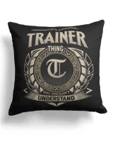 Cotton Drill Pillow (Dual Sided)