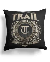 Cotton Drill Pillow (Dual Sided)
