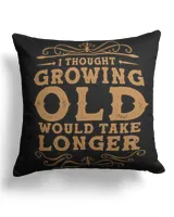 Cotton Drill Pillow (Dual Sided)