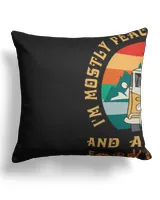 Cotton Drill Pillow (Dual Sided)
