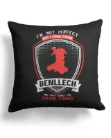 Cotton Drill Pillow (Dual Sided)