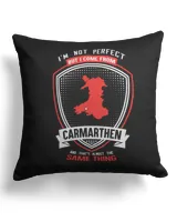 Cotton Drill Pillow (Dual Sided)
