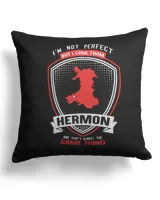 Cotton Drill Pillow (Dual Sided)