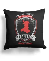 Cotton Drill Pillow (Dual Sided)