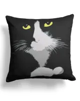 Cotton Drill Pillow (Dual Sided)