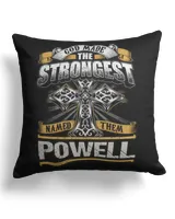 Cotton Drill Pillow (Dual Sided)
