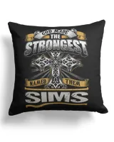 Cotton Drill Pillow (Dual Sided)