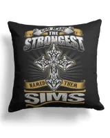Cotton Drill Pillow (Dual Sided)