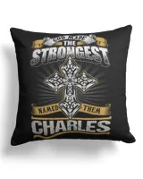 Cotton Drill Pillow (Dual Sided)
