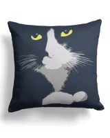 Cotton Drill Pillow (Dual Sided)
