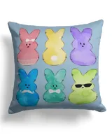 Cotton Drill Pillow (Dual Sided)