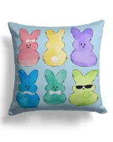 Cotton Drill Pillow (Dual Sided)