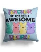 Cotton Drill Pillow (Dual Sided)