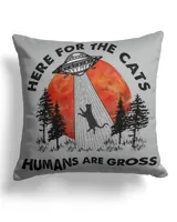 Cotton Drill Pillow (Dual Sided)