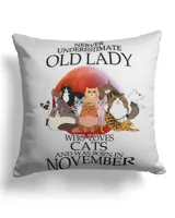 Cotton Drill Pillow (Dual Sided)