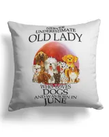 Cotton Drill Pillow (Dual Sided)