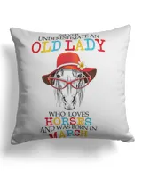 Cotton Drill Pillow (Dual Sided)