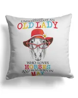 Cotton Drill Pillow (Dual Sided)