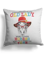 Cotton Drill Pillow (Dual Sided)