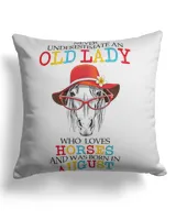 Cotton Drill Pillow (Dual Sided)