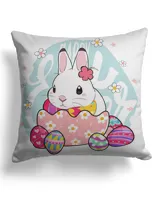 Cotton Drill Pillow (Dual Sided)