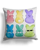 Cotton Drill Pillow (Dual Sided)