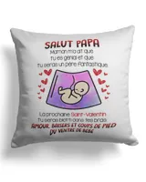 Cotton Drill Pillow (Dual Sided)