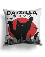 Cotton Drill Pillow (Dual Sided)