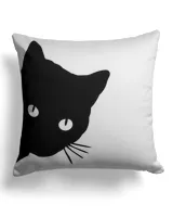Cotton Drill Pillow (Dual Sided)
