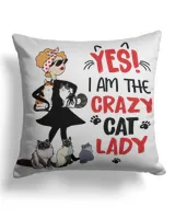 Cotton Drill Pillow (Dual Sided)
